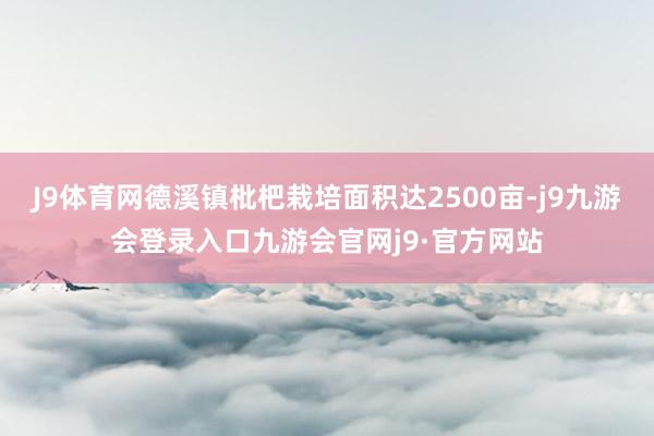J9体育网德溪镇枇杷栽培面积达2500亩-j9九游会登录入口九游会官网j9·官方网站